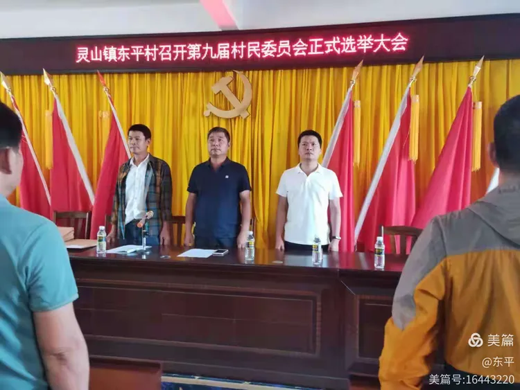 灵山镇东平村召开第九届村民委员会正式选举大会